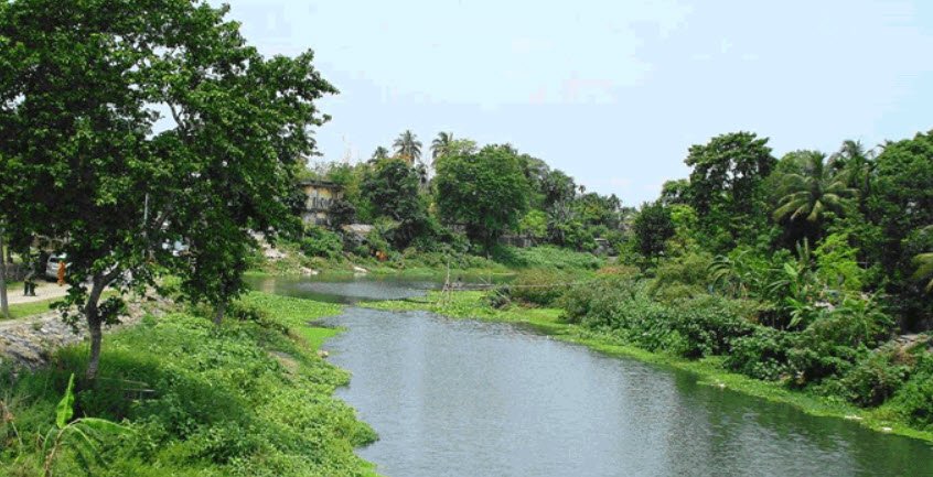 Karala River, Jalpaiguri, West Bengal - Vushii.com Karala River, Jalpaiguri, West Bengal - Vushii.com
